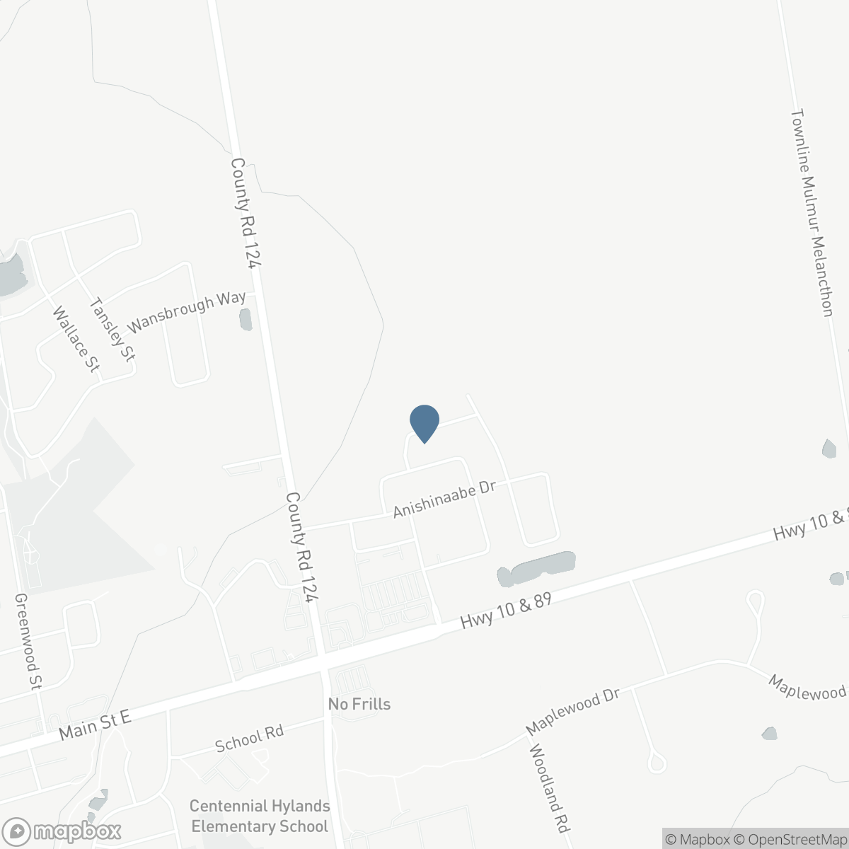250 CHIPPEWA AVENUE, Shelburne, Ontario L9V 3Y3